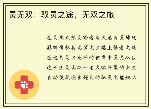 灵无双：驭灵之途，无双之旅
